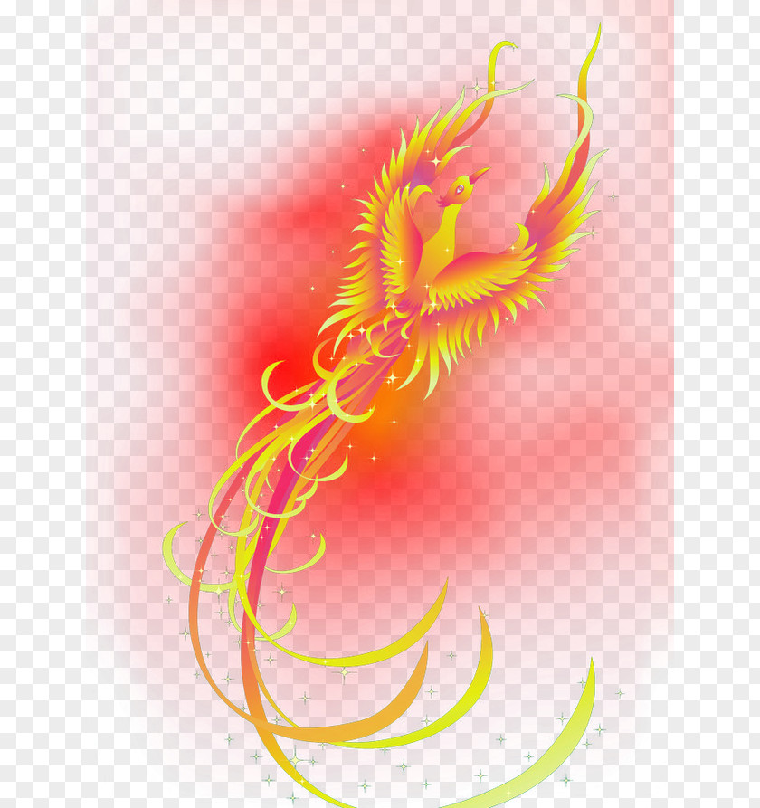 Phoenix Fenghuang County Illustration PNG