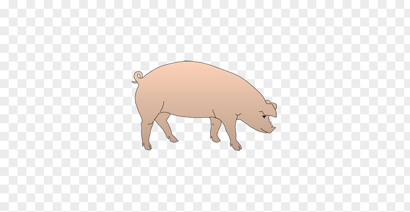 Prostate Gland Pig Animal Game Bingo Card Mammal PNG