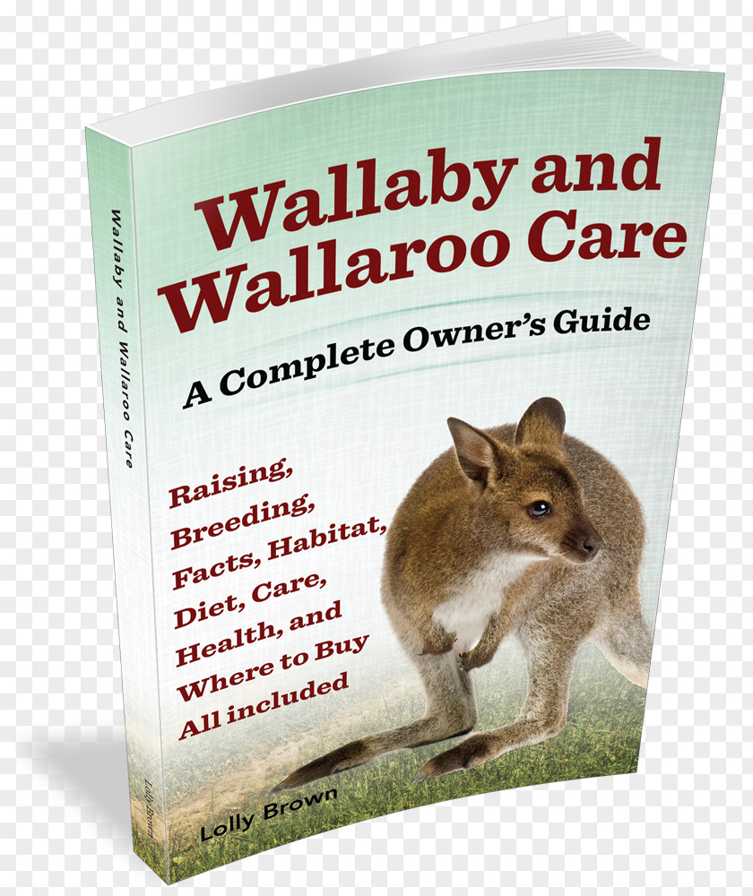 Rabbit Wallaby And Wallaroo Care: A Complete Owner's Guide Reserve Axolotl PNG