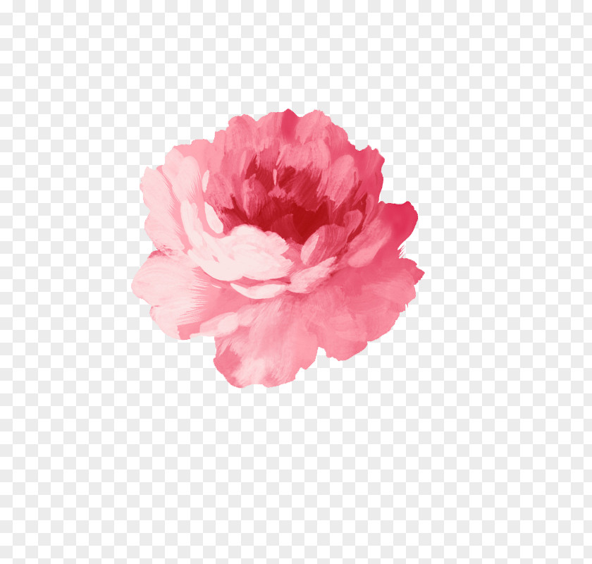 Watercolor Flower Painting Pink PNG