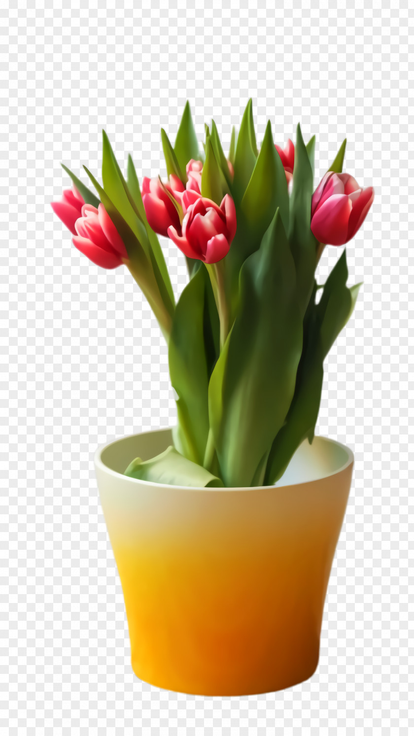 Bud Cut Flowers Lily Flower Cartoon PNG