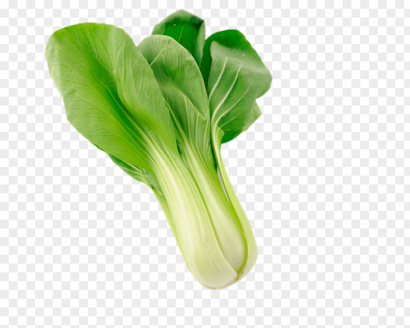 Cabbage Napa Organic Food Vegetable Bok Choy PNG