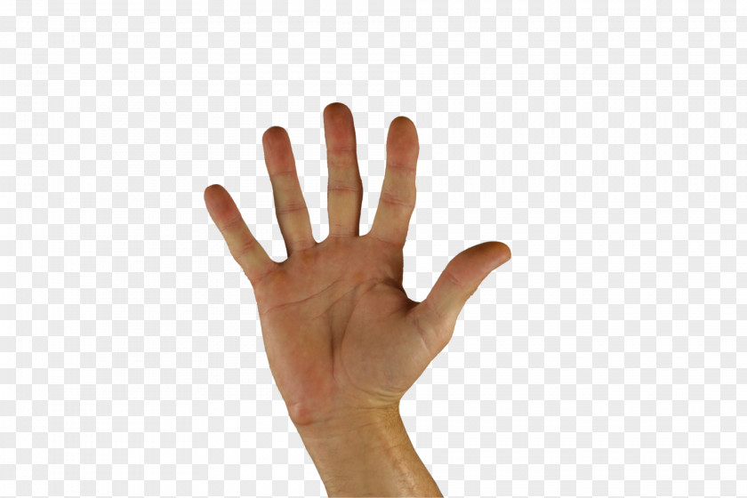 Cinco Greeting American Sign Language Gesture Hand PNG