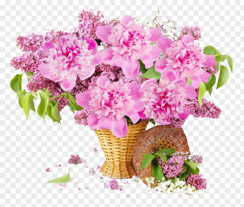 Peony Flower Desktop Wallpaper Basket Pink PNG