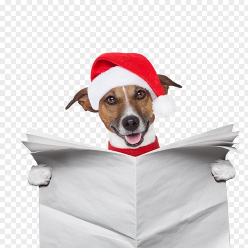 Read Newspapers Christmas Pet Dog Pug Santa Claus Gift PNG