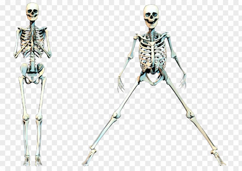 Shoulder Human Skeleton Vintage Background PNG