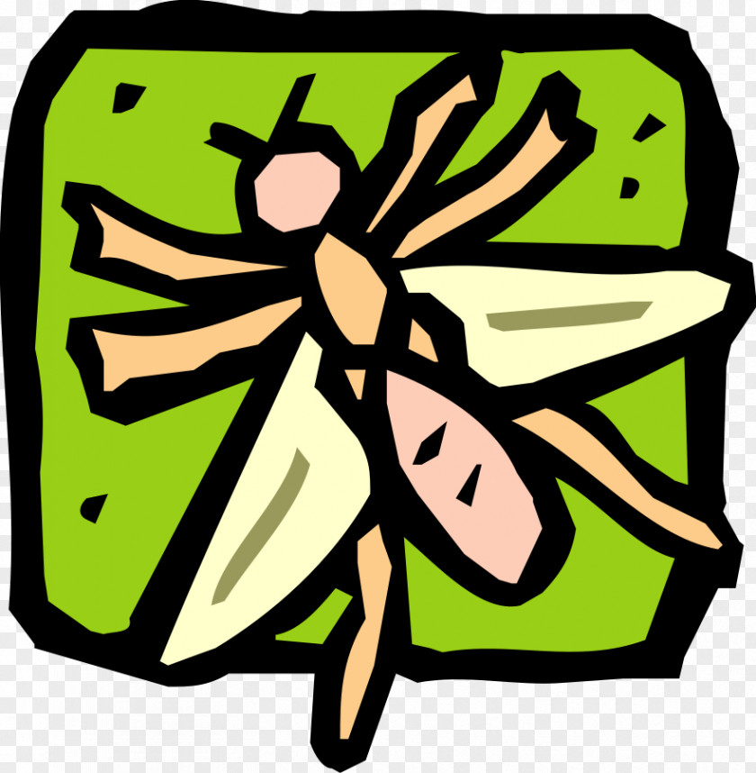 Insect Drawing Clip Art PNG