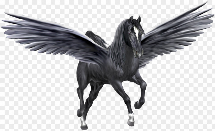 Pegasus Unicorn Horse Black PNG