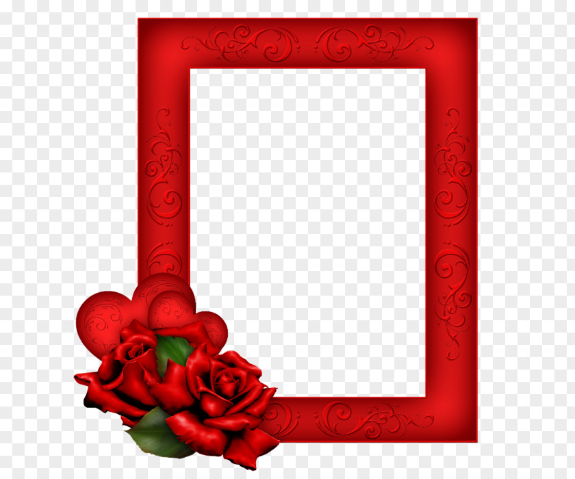 Rose Borders And Frames Picture Clip Art Image PNG