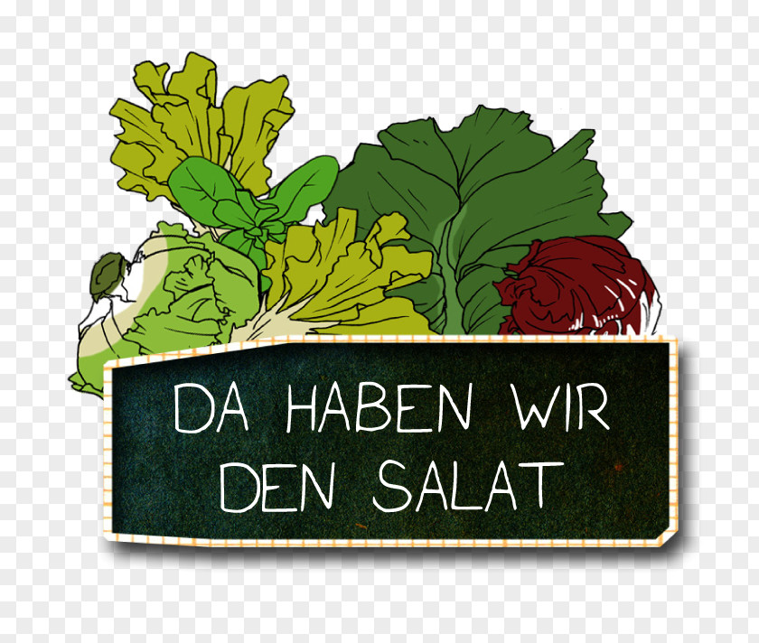 Salats Text Leaf Vegetable Party PNG