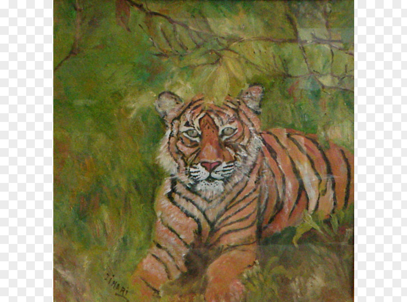 Tiger Cat Whiskers Painting Terrestrial Animal PNG