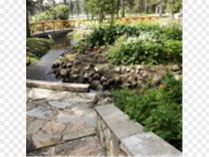 Water Resources Stone Wall Watercourse Walkway PNG