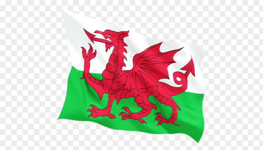 Welsh Flag Of Wales Dragon Developing A Caring Gallery Sovereign State Flags PNG
