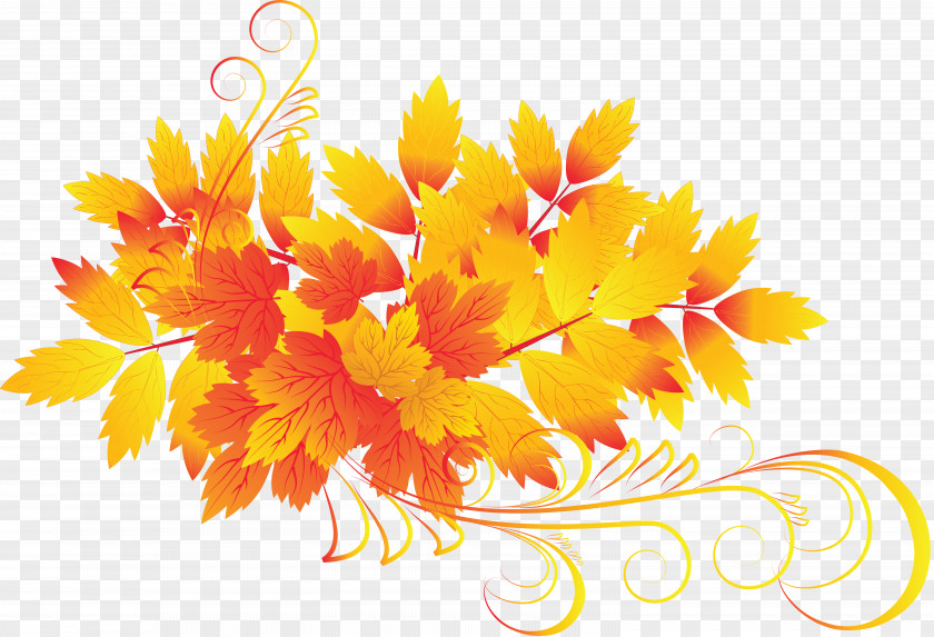 Withered Autumn Leaves Clip Art PNG