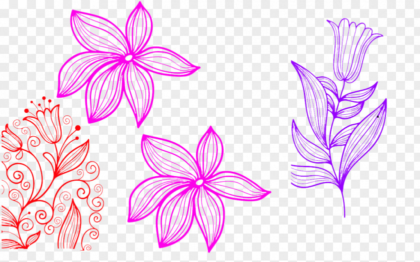 Floating Lily Flowers Drawing Lilium Clip Art PNG
