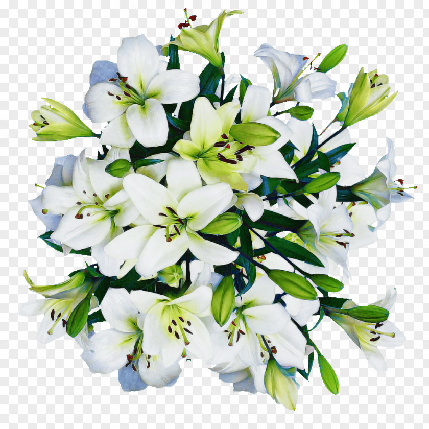 Floral Design PNG