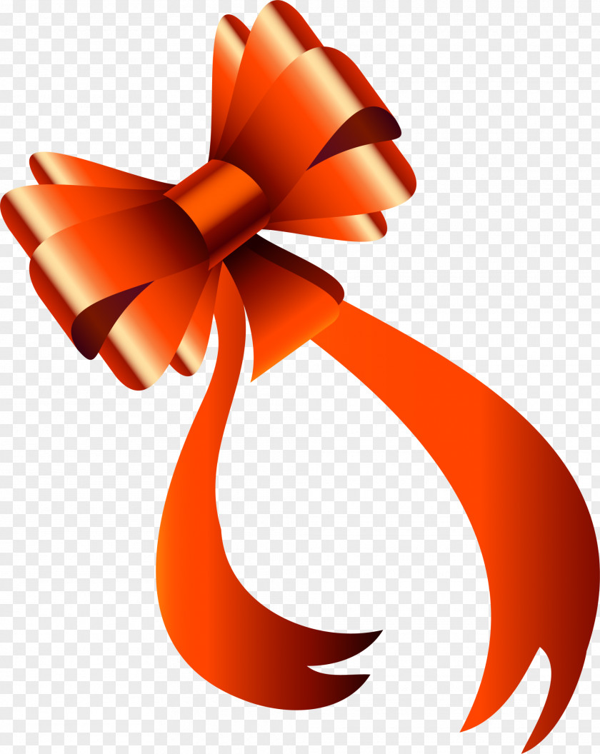 The Orange Ribbon Bow PNG