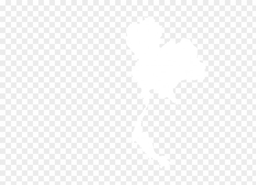 United States White Drawing Color PNG