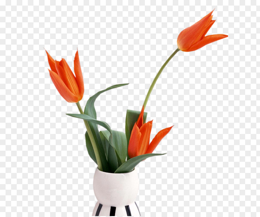 Vase Floral Design Desktop Wallpaper Flower PNG