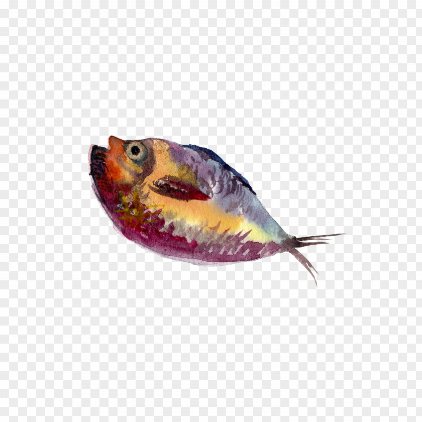 Water Fish Watercolor Painting Drawing Illustration PNG