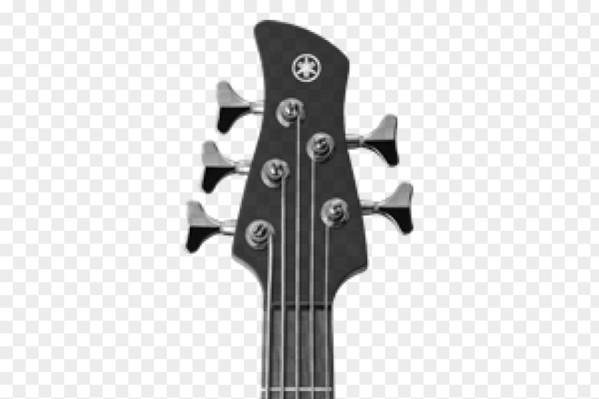 Bass Guitar 5 String Double PNG