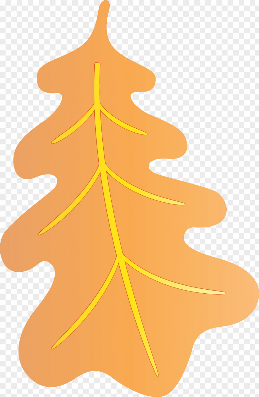 Christmas Tree PNG