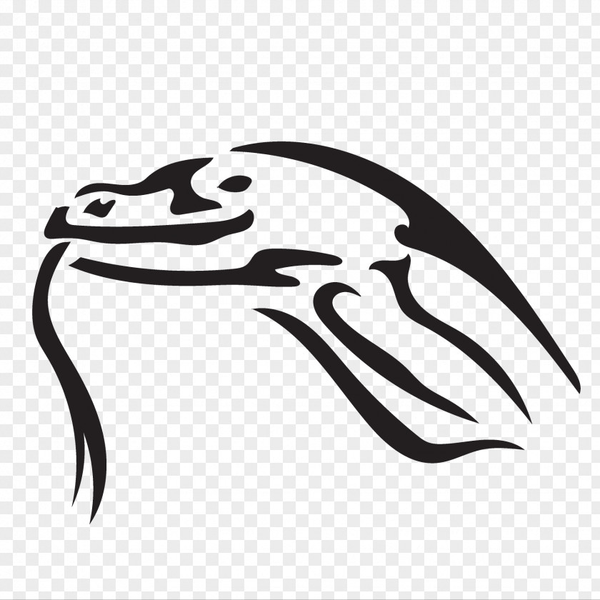 Komodo Bird Dragon Endangered Species Animal Tiger PNG