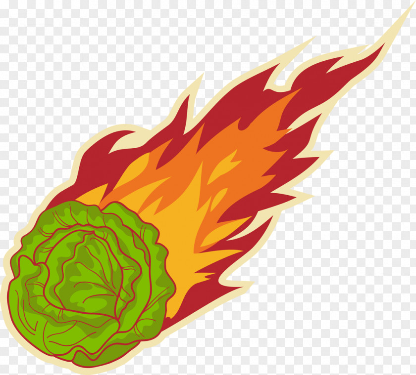 Lettuce Stock Photography Royalty-free PNG