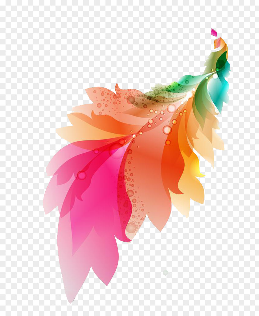 Spring Beautiful Romantic Dream Color Feathers Mother's Day Feather PNG