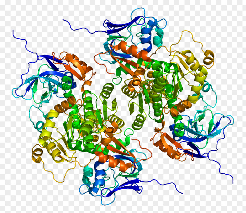 Glucose6phosphate Dehydrogenase Deficiency Wikipedia Sorbitol Free Content Sord M5 PNG