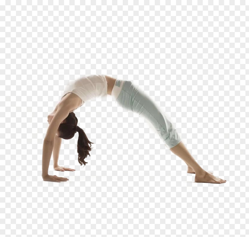 Professional Yoga Instructor Training Asana Wrist Forearm PNG