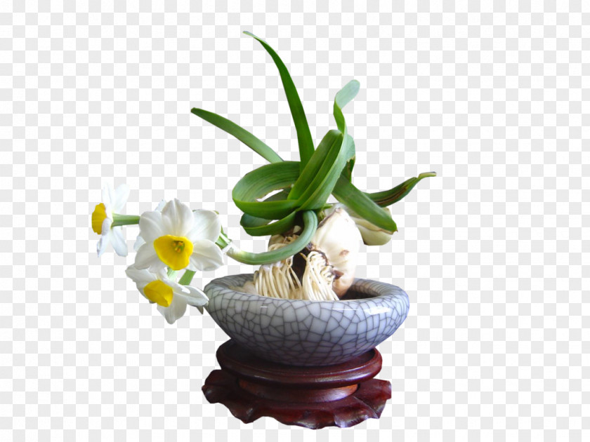 Vase Desktop Wallpaper PNG