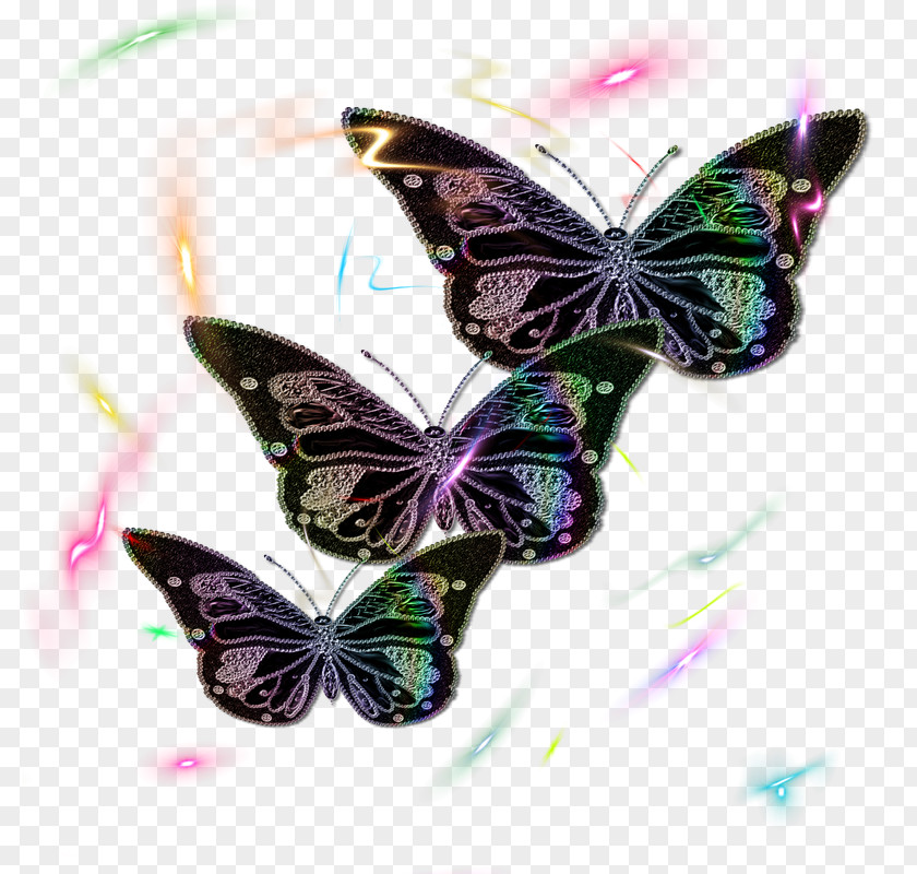 Butterfly Clip Art Openclipart Free Content PNG