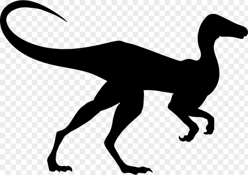 Dinosaur Compsognathus Diplodocus PNG