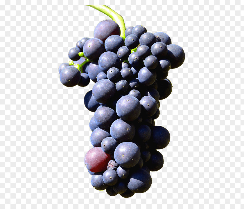 Grape Sultana Trollinger PNG