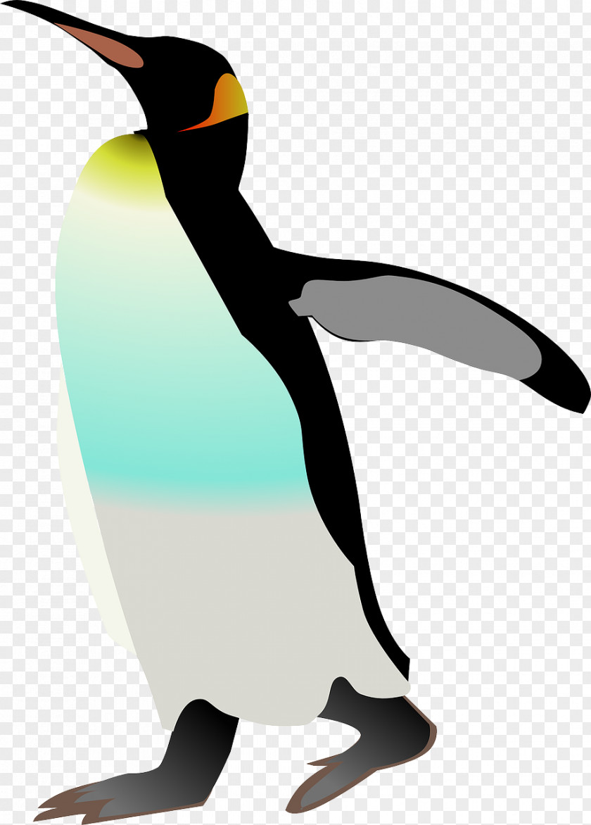 Health Penguins Emperor Penguin Bird Clip Art PNG