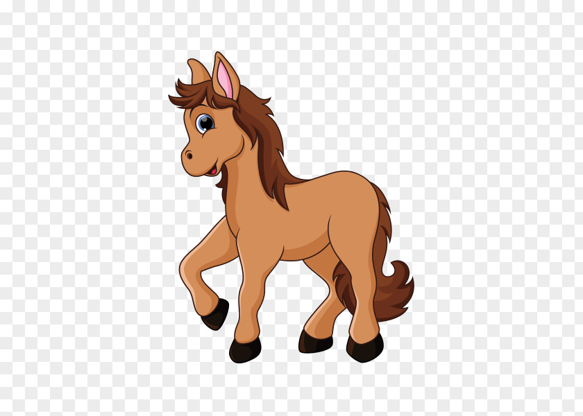 Horse Foal Pony PNG