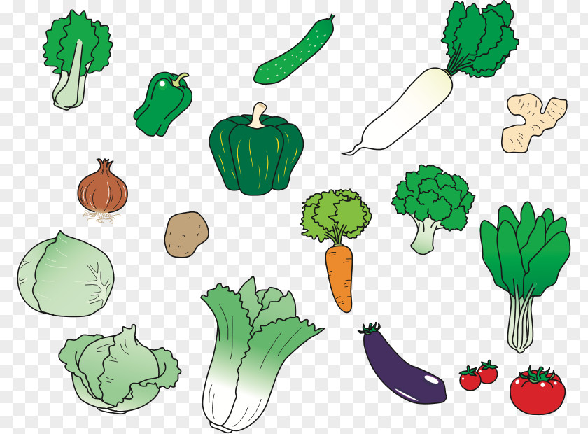 Vegetebles Graphic Vegetable Food Daikon Aubergines Carrot PNG