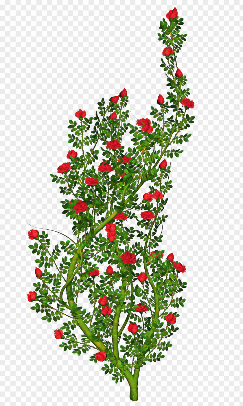 Wildflower Holly Tree Branch Silhouette PNG