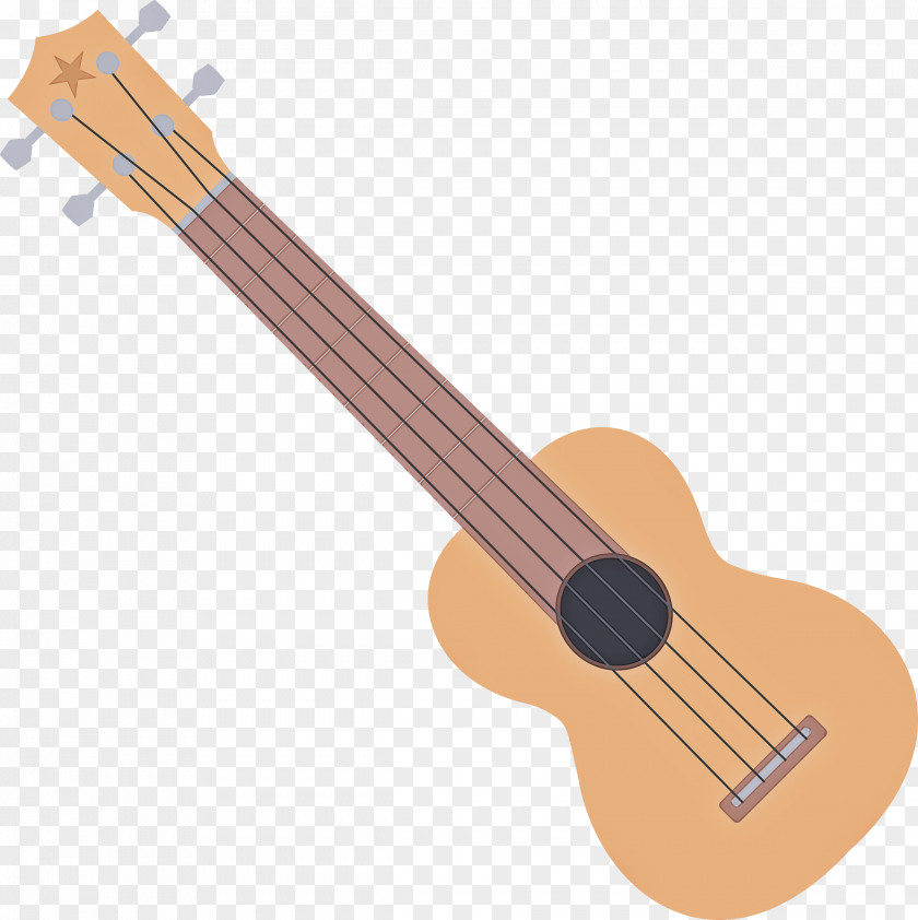 Acoustic Guitar Bass PNG