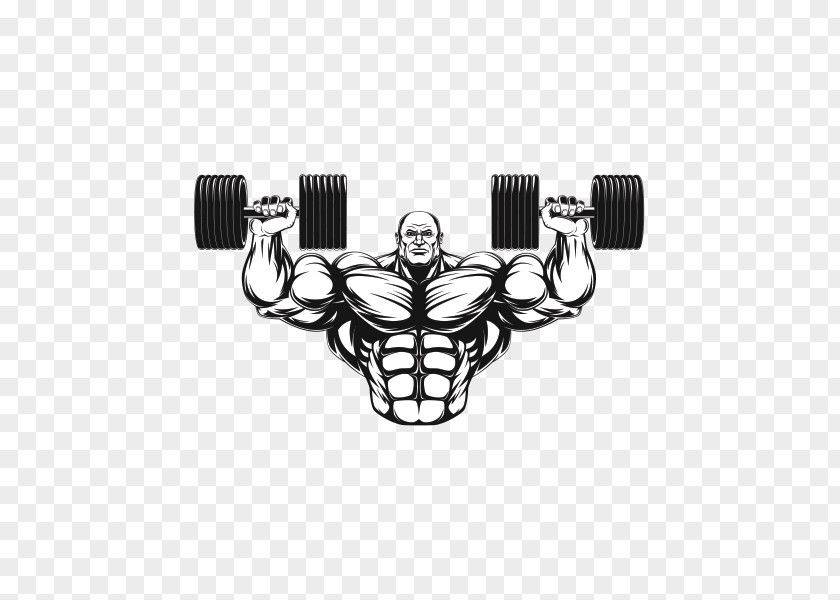 Bodybuilding Fitness Centre Dumbbell Muscle Exercise PNG