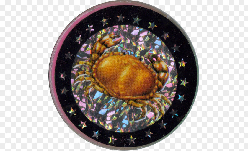 Crab Metal Buckets Decapods Abalone PNG