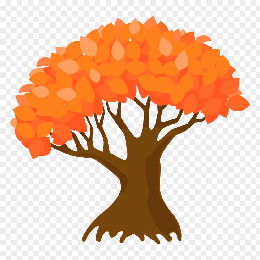 Plant Tree Orange PNG