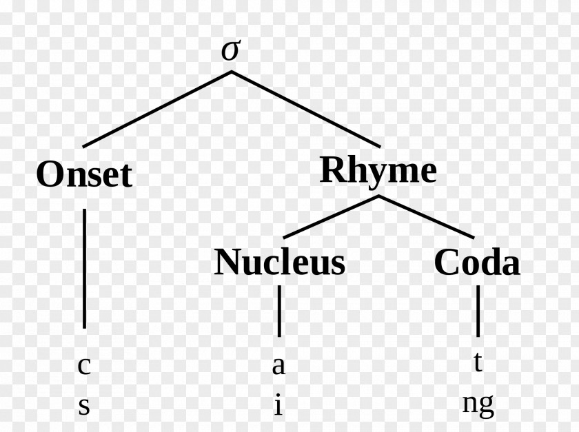 Syllable Data Structure Diagram Phonology Phonetics PNG