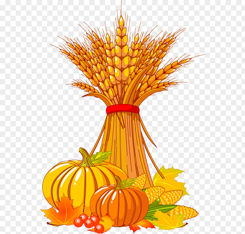 Thanksgiving Vector Graphics Stock Photography Harvest Clip Art PNG