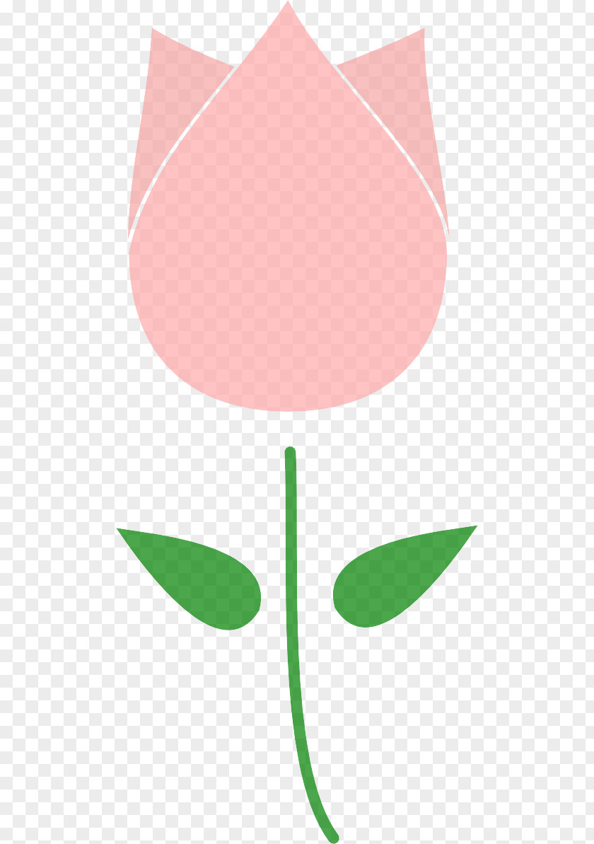 Tulip Peach Clip Art Green Pink Leaf Line PNG
