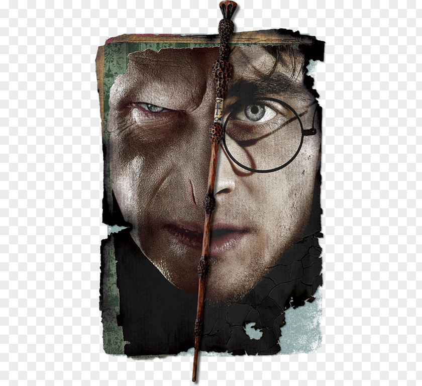 Voldemort Wand Lord Harry Potter And The Deathly Hallows Ron Weasley Hermione Granger PNG