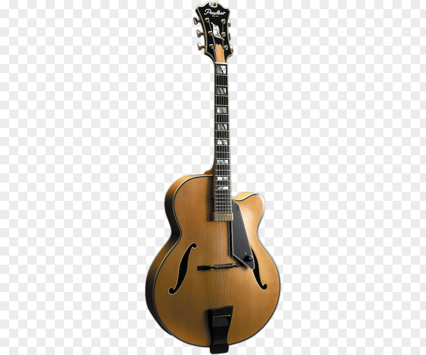 Acoustic Guitar Electric Tiple Bass Cuatro PNG