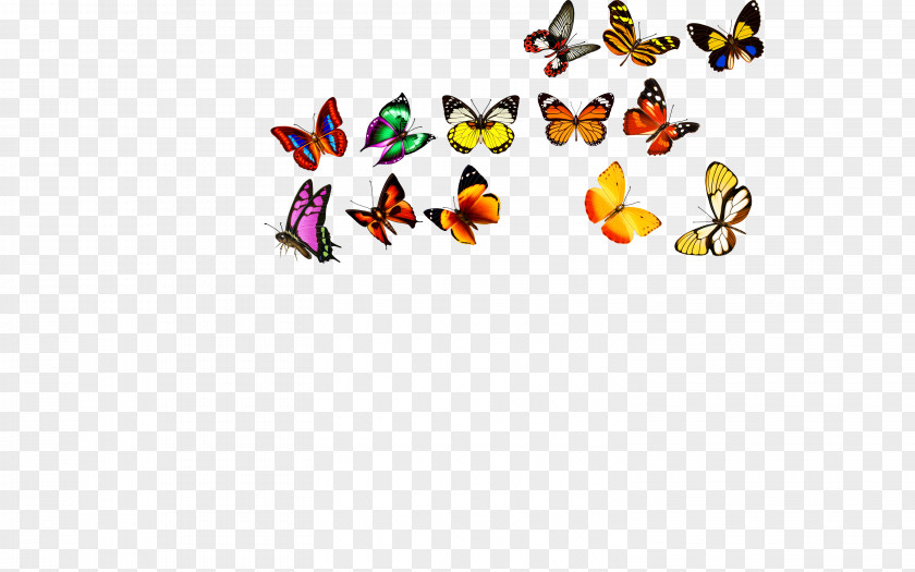 Butterfly,Creative Butterfly Computer File PNG
