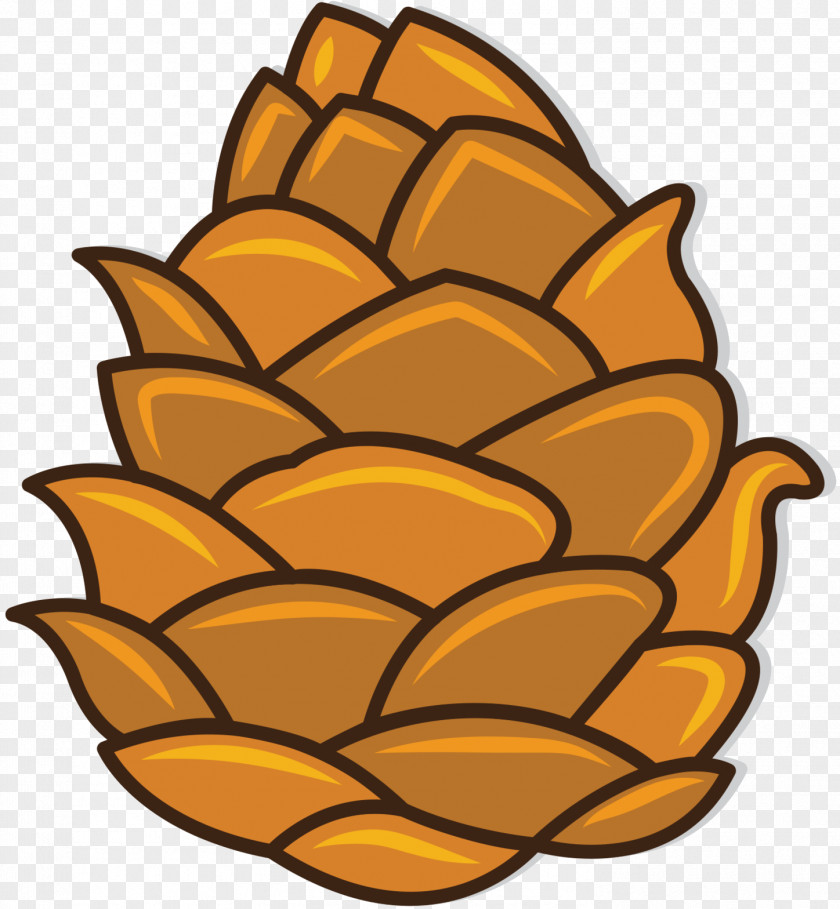 Conifer Cone Vector Graphics Pine Design PNG